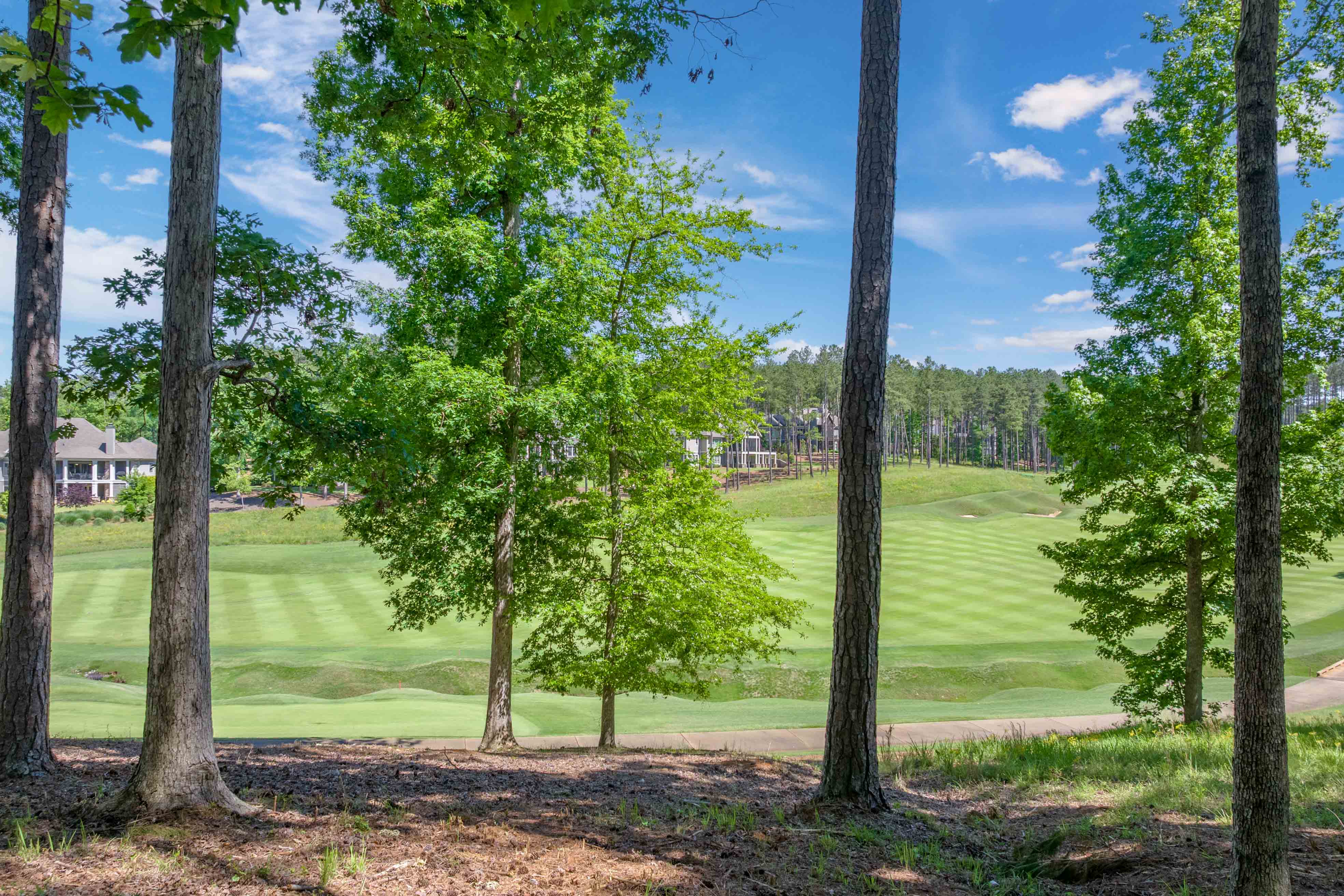 1040 Bunker Bend image 8
